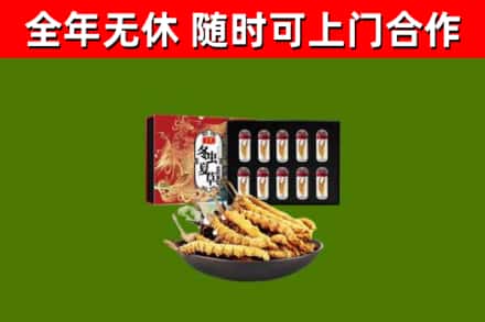 太子河区回收冬虫夏草价格